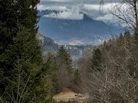 Недвижимость Участок для инвестиций на Бледе: 8