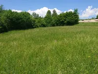 Недвижимость Участок сельскохозяйственной земли Бохиньска Бистрица.: 8