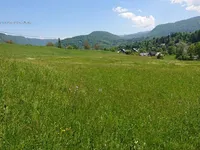 Недвижимость Участок сельскохозяйственной земли Бохиньска Бистрица.: 13