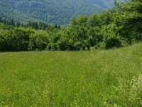 Недвижимость Участок сельскохозяйственной земли Бохиньска Бистрица.: 14