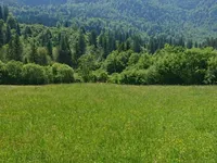 Недвижимость Участок сельскохозяйственной земли Бохиньска Бистрица.: 15