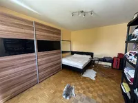 Недвижимость Квартира с 2,5 комнатами, расположенная в Новой Любляне, районе Шишка, на Готской улице: 8