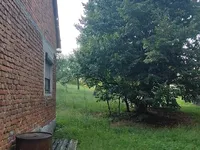 Недвижимость House, Bizeljsko: 4