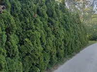 Недвижимость House, Bizeljsko: 9