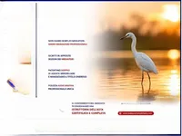 Недвижимость Квартира на аукционе, Гориция: 60