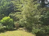 Недвижимость Row house 6 rooms: 1