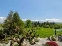 Недвижимость Single house 18 rooms: 7