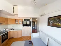 Недвижимость 1.5-room apartment Shishka: 4