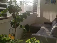 Недвижимость Apartment, 3 rooms Wrzesińska 3: 1