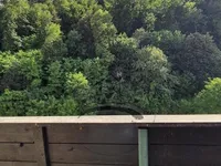 Недвижимость Apartment in Shishka with a garage: 7