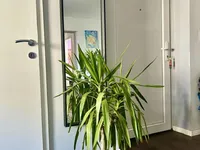 Недвижимость Apartment, 4 rooms Litostroj: 21