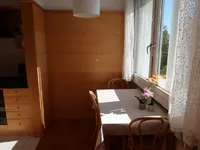 Недвижимость Apartment 1.5 rooms Bezigrad: 4