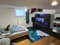 Недвижимость Three-room apartment in Bežigrad: 15