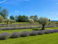 Недвижимость Single house 10 rooms: 5