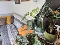 Недвижимость Apartment Near the Forest in Črnuče: 5