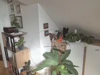 Недвижимость Apartment Near the Forest in Črnuče: 17