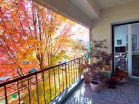 Недвижимость 4.5-room apartment Colesia: 10