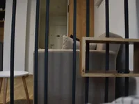 Недвижимость Studio apartment Novye Kosheze: 7