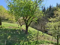 Недвижимость House, Upper Hrushkovo, Trakošćan.: 9