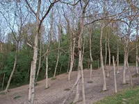 Недвижимость House, Upper Hrushkovo, Trakošćan.: 27