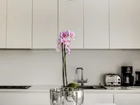 Недвижимость Redcliffe Gardens: 7