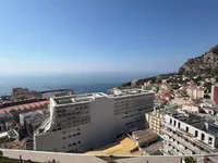 Недвижимость Apartment Monaco, Jardin Exotique: 2