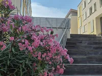 Недвижимость Студия в Изоле: 18