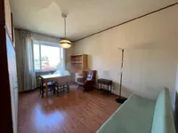 Недвижимость Трехкомнатная в Центре Горизии: 18