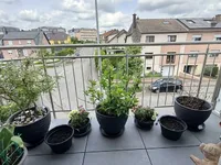 Недвижимость Apartment 2 bedrooms for sale in Dudelange: 4