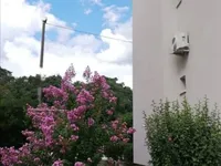 Недвижимость Трехкомнатная квартира в центре Гориши: 4