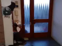 Недвижимость Квартира на аукционе в Гориции: 14