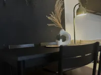 Недвижимость Квартира в Шишке 2.5-комн.: 5