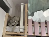 Недвижимость Квартира в Шишке 2.5-комн.: 12