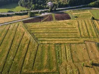 Недвижимость Усадьба Кметияново, Березовка у Любляны: 1