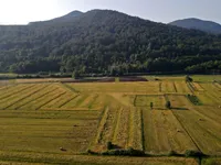 Недвижимость Усадьба Кметияново, Березовка у Любляны: 2