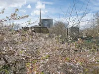 Недвижимость Central Street, Clerkenwell: 5