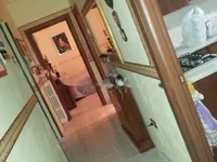 Недвижимость Двухкомнатная в центре Горицы: 14