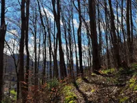 Недвижимость Усадьба, ферма Чолнище.: 26