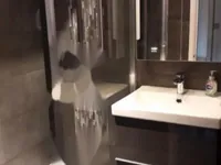 Недвижимость Кромвель Роуд, Эрлс-Корт: 15