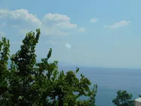 Недвижимость Трехкомнатная квартира в Центре: 35