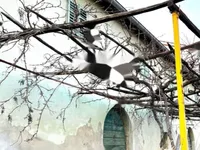 Недвижимость Семейный дом 190 м², Центр: 5