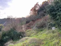 Недвижимость Семейный дом 190 м², Центр: 9