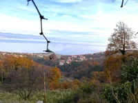 Недвижимость Семейный дом 190 м², Центр: 29