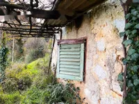 Недвижимость Семейный дом 190 м², Центр: 31