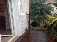 Недвижимость Многоквартирный дом в центре Опатии: 1