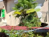 Недвижимость Многоквартирный дом в центре Опатии: 15