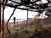 Недвижимость Семейный дом 190 м², Центр: 36