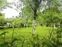 Недвижимость Дом, Блед, Окрестности Бледа: 3