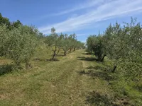 Недвижимость Дом, Пуче, Драгонья: 24