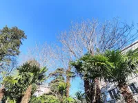 Недвижимость Портороз двухэтажный дом: 11